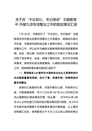 关于在“不忘初心、牢记使命”主题教育中 开展九项专项整治工作的落实情况汇报
