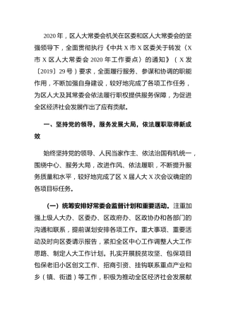 区人大2020年度工作情况报告4600字