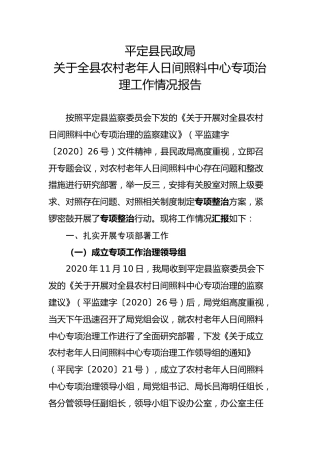 关于全县农村老年人日间照料中心专项治理工作情况报告