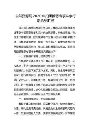 2020年扫黑除恶专项斗争行动总结汇报（自然资源）