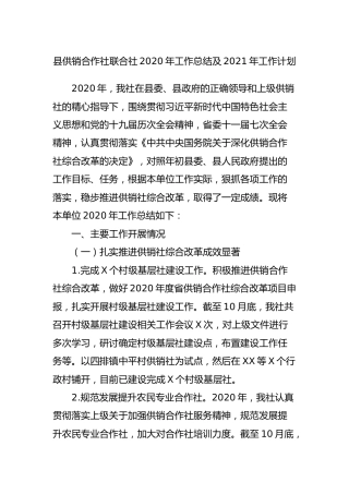 供销社2020年工作总结及2021年工作计划
