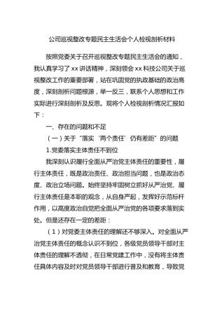 公司巡视整改专题民主生活会个人检视剖析材料2700字