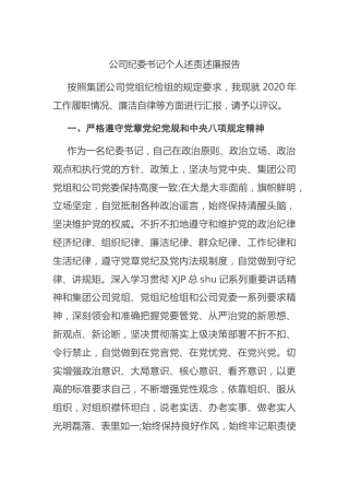 公司纪委书记个人述责述廉报告3200字