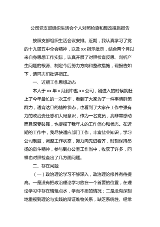 公司党支部组织生活会个人对照检查和整改措施报告
