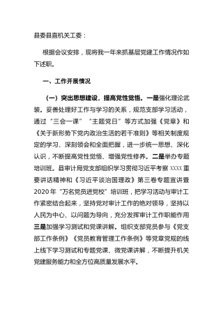 2020年度抓基层党建工作述职报告（审计2800字）