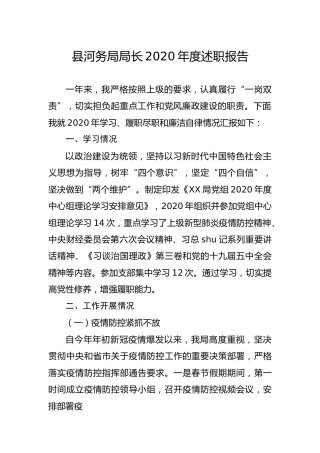 局长2020年述职报告（河务系统）