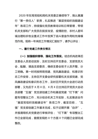 局机关党支部书记2020年抓党建工作述职报告3000字
