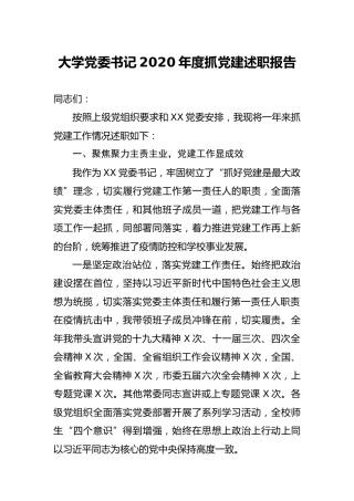 2020年度书记抓党建工作述职报告（学校6300字）
