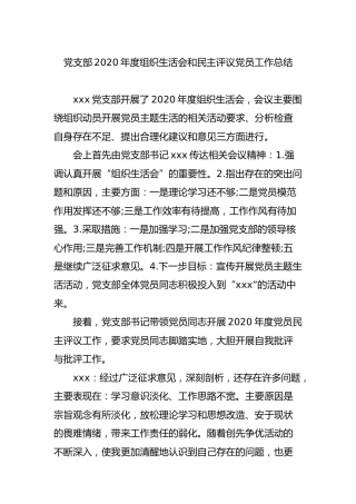 党支部2020年度组织生活会和民主评议党员工作总结（新人）