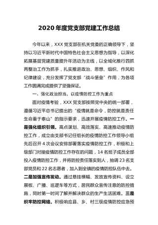2020年度党支部党建工作总结3100字