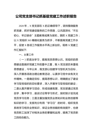 公司党支部书记抓基层党建工作述职报告3300字