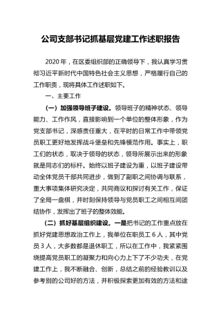 公司党支部书记抓基层党建工作述职报告2800字