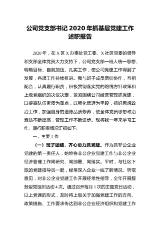 公司党支部书记2020年抓基层党建工作述职报告3000字