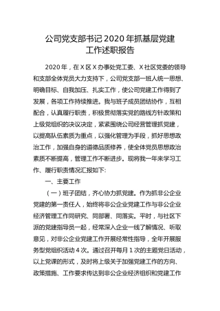 公司党支部书记2020年抓基层党建工作述职报告3000字 (2)