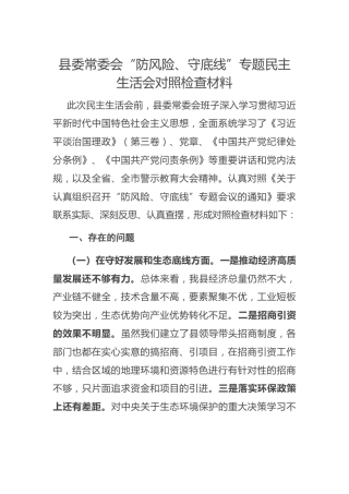 “防风险、守底线”专题民主生活会对照检查材料（班子3000字）