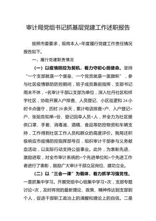 党组书记抓基层党建工作述职报告（审计系统）