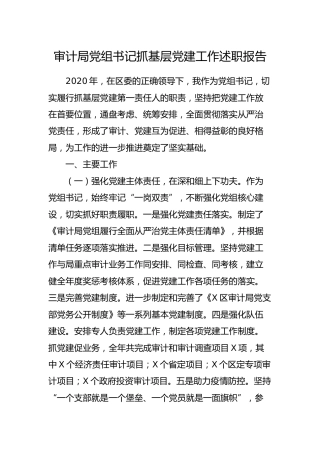 党组书记抓基层党建工作述职报告（审计3700字）