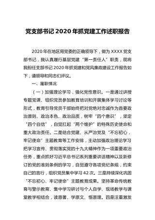 党支部书记2020年抓党建工作述职报告（税务3900字）