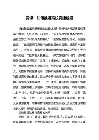 党课：如何推进高校党建建设高校（学校）