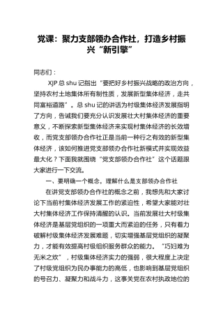党课：聚力支部领办合作社，打造乡村振兴“新引擎”
