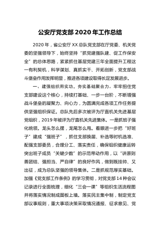 党支部2020年工作总结(公安3300字)