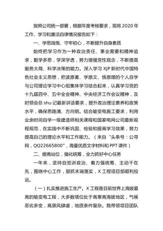 国企公司项目经理2020年度述职报告