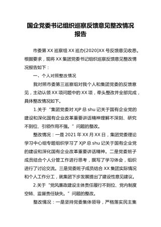 国企公司党委书记组织巡察反馈意见整改情况报告