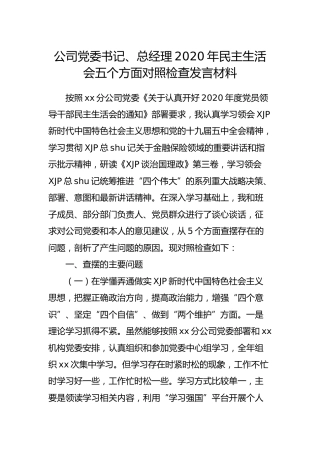 国企公司党委书记2020年民主生活会五个方面对照检查发言材料4400字
