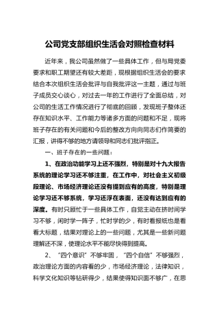 公司党支部组织生活会对照检查材料1900字