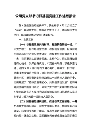 公司党支部书记抓基层党建工作述职报告2400字