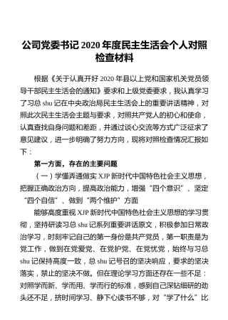 公司党委书记2020年度民主生活会个人对照检查材料3000字_1
