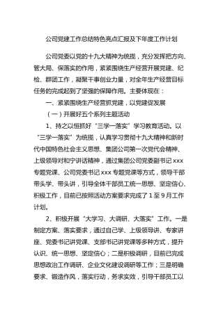 公司党建工作总结特色亮点汇报及下年度工作计划