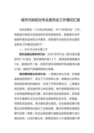 城市污染防治专业委员会工作情况汇报