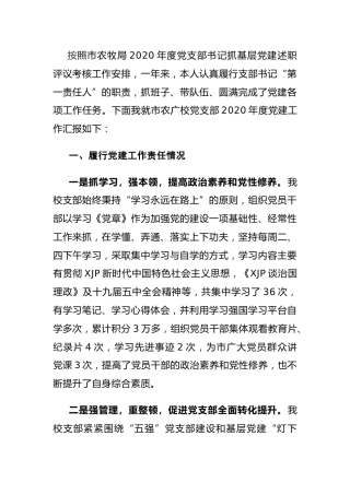 党支部书记2020年抓党建工作述职报告合集8篇