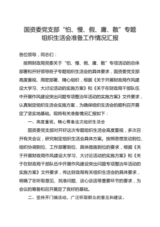 2020年专题组织生活会准备工作情况汇报