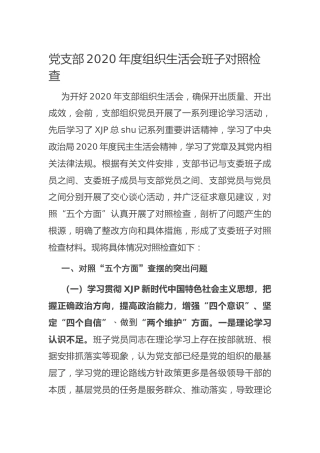 党支部2020年度组织生活会班子对照检查材料3900字