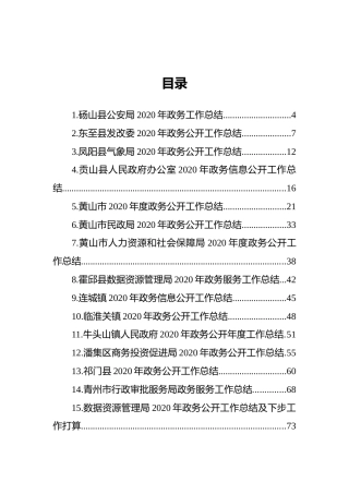 2020年政务公开工作总结合集（20篇）