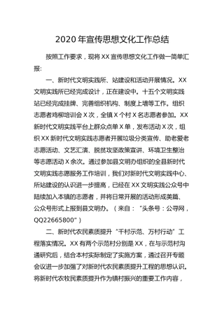 2020年宣传思想文化工作总结2000字