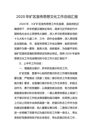 2020年宣传思想文化工作总结（3100字）