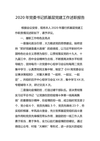 2020年书记抓基层党建工作述职报告2700字