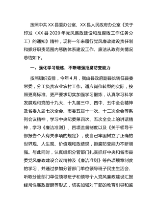 2020年度履行党风廉政建设责任制自查报告（副县长）
