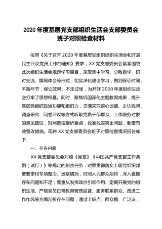 2020年度党支部组织生活会班子对照检查材料4500字
