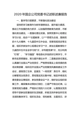 2020年国企公司党委书记述职述廉报告2600字