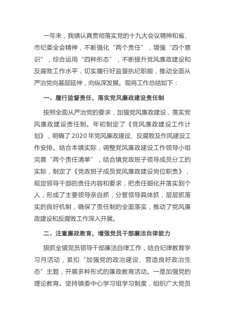 2020年党风廉政建设工作总结（乡镇）