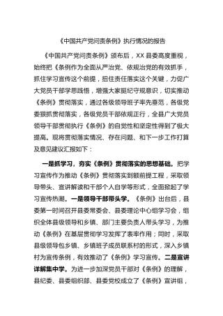 《问责条例》执行情况报告