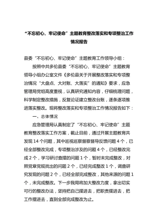 “不忘初心、牢记使命”主题教育整改落实和专项整治工作情况报告