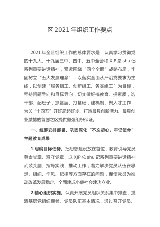 2021年组织工作要点（县区）