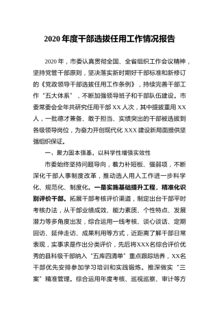 2020年度干部选拔任用工作情况报告（4300字市级）