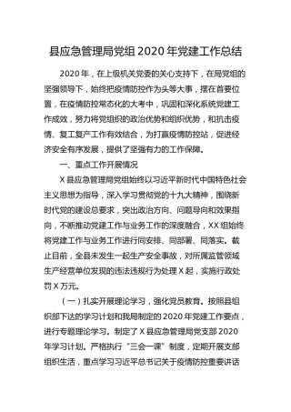 2020年党建工作总结(应急2600字)