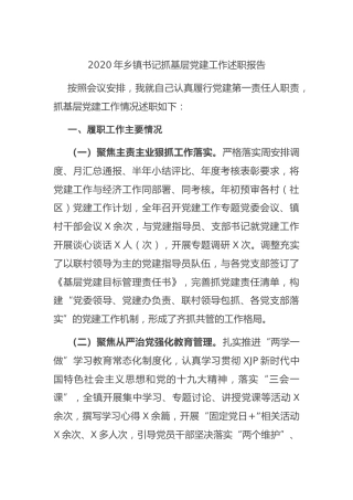 2020年乡镇书记抓基层党建工作述职报告3100字